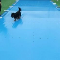 Sicherheitsabdeckung Für Rechteckbecken 15 Sicherheitsabdeckung Für Rechteckbecken -Schwimmbad Verkaufs-Shop Liderpool Schutzabdeckung Sicherheitsabdeckung Pool 4 1280x1280