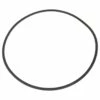 O-Ring Für Filterbehälter Astral Mit Edelstahl V4A Filter Ø 600mm